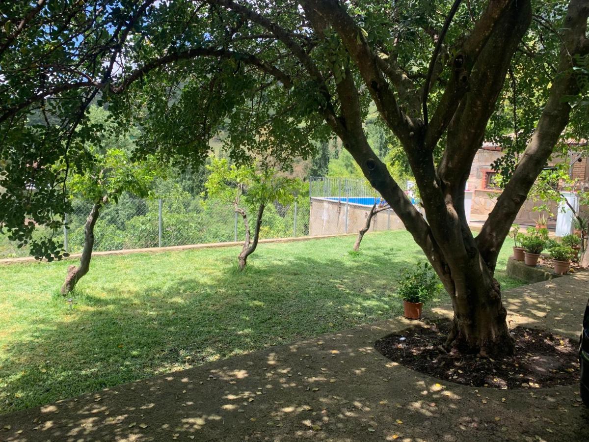 La Fuente De El Nacimiento Guest House Benamahoma Exterior photo